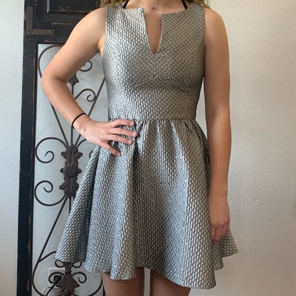 Lucy Paris Dresses & Skirts - Lucy Paris silver gray shimmer A line dress Sz SM
